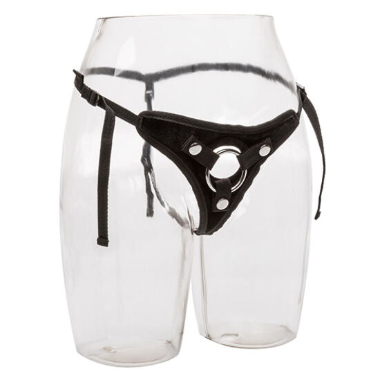 Calexotics - Tanga-Harness - Samtgeschirr mit O-Ring