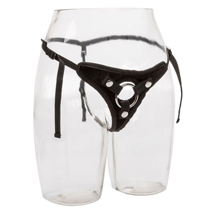 Calexotics - Tanga-Harness - Samtgeschirr mit O-Ring
