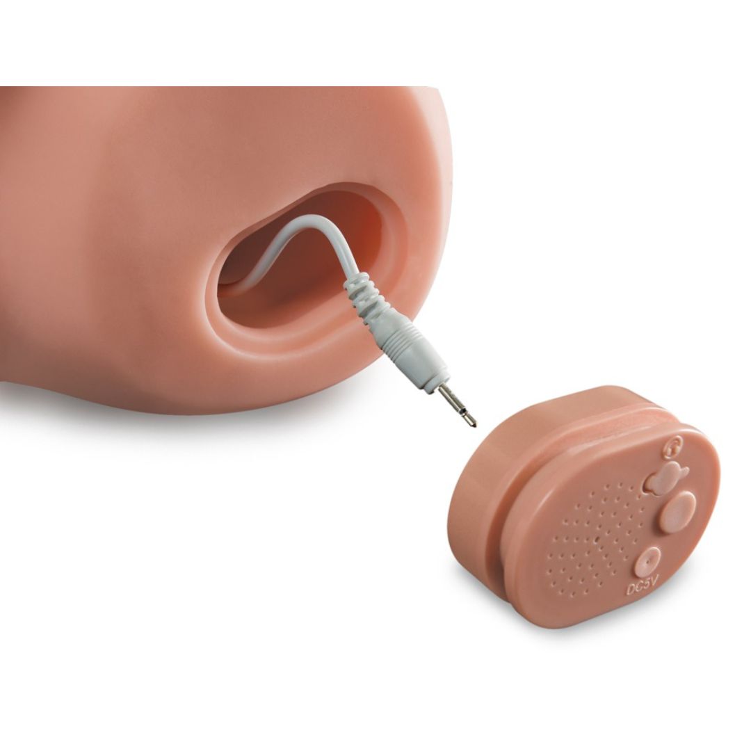 Masturbator „Interactive Fuck My Cock“ mit Dirty Talk - OH MY! FANTASY