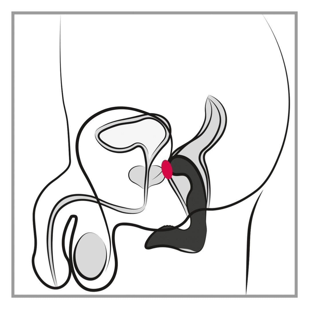 Prostatavibrator „Rechargeable Prostate Stimulator“ - OH MY! FANTASY
